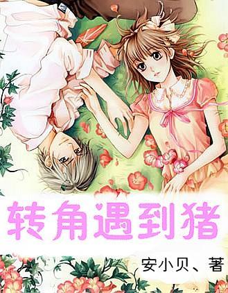 营造会展新生态 助力郑州会展业高质量发展